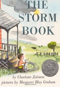 The Storm Book Mentor Text